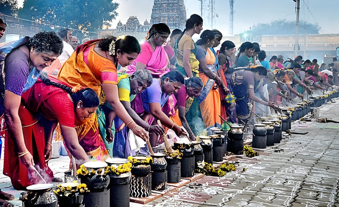 Pongal Festival