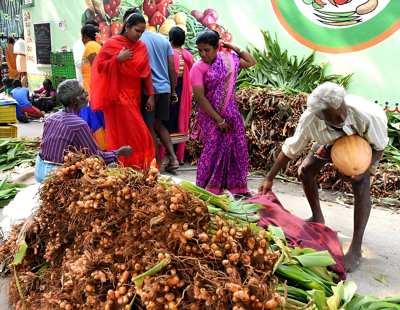 Turmeric Expo