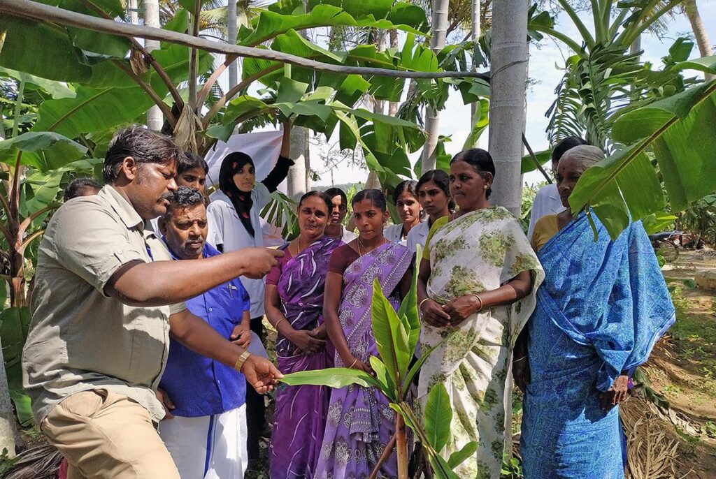 Banana Farmers Attend Modern Cultivation Training Programme ag4